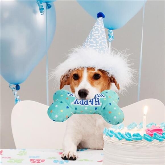 Dog Birthday Toys, Plush Dog Crinkle Squeaky Toys, Dog Chew Toys Bone - Picture 4 of 5